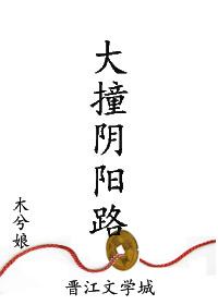 大撞阴阳路by木兮娘TXT