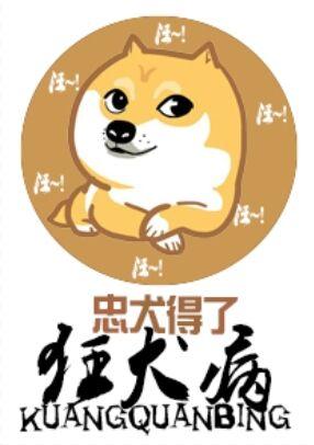 患狂犬病的狗