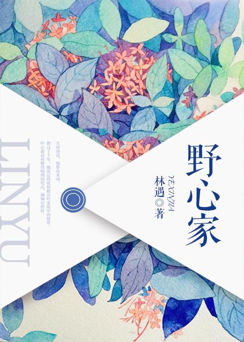 野心家英文