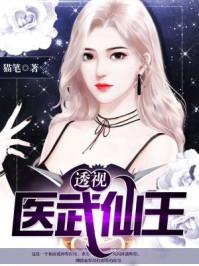 透视医武仙尊txt林乐