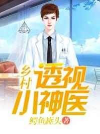 乡村透视小神医TXT免费