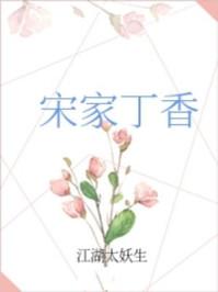 宋家丁香txt百度