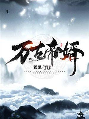 万古帝婿TXT完整版