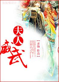 夫人武功