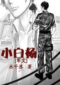 小白杨动态简谱伴奏