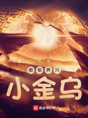 偷偷养只小金乌简介