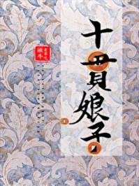 十贯娘子无防盗版