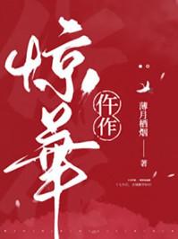 仵作惊华男主是谁