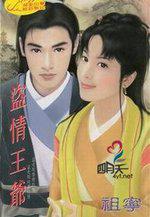 盗情全本