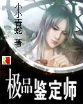 极品鉴定师骆天