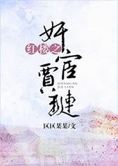 红楼从今以后我就是贾琏