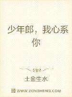心系少年是什么意思