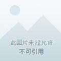 上神 长空无双