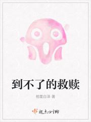 红色机翼的飞机