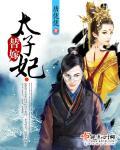 替嫁太子妃丞相