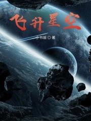 飞升星空txt