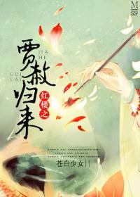 红楼之贾赦妻