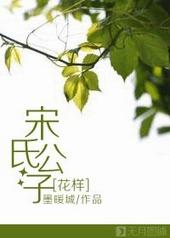 宋氏子孙后代现状