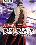 海贼王里面克洛克达尔有什么秘密