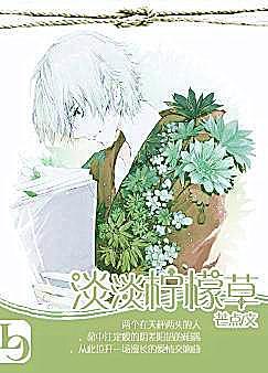 淡淡柠檬草文案