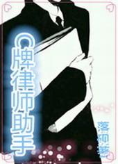 c牌律师助手TXT