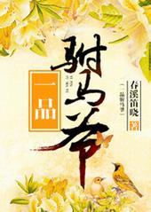 一品驸马爷弹指一壶醉