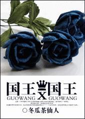 国王x国王番外