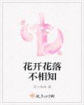 宗先生的追妻攻略
