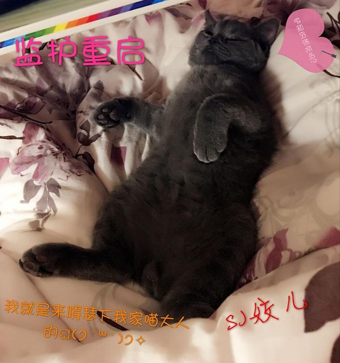 监护状态是什么意思