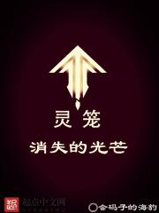 灵笼里面的光影之主