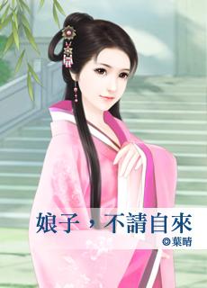 娘子不争宠 清无韵