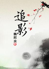 追影a21