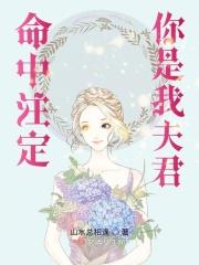 你是我的命中注定2