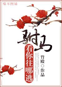驸马看你往哪逃