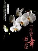 三生有幸遇见你纵使悲凉什么意思