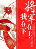 将军在上我在下晋江