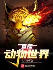 视频动物世界