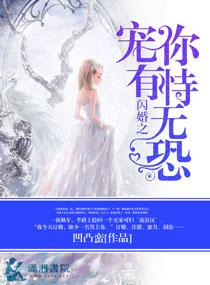 闪婚宠妻的所有