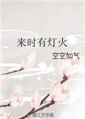 来时有灯火林疆董续啥关系