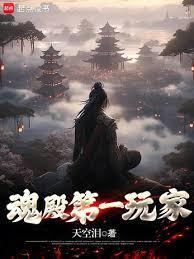 魂殿第一玩家笔趣阁全文