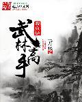 我是武林高手破解版