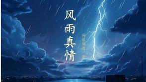 风雨真情的首尾呼应