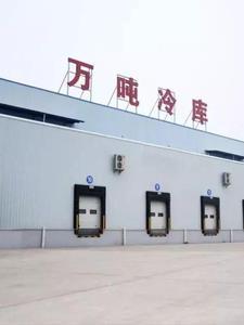 四合院开局迎娶秦
