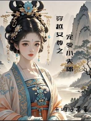 穿越女尊之宠爱小夫郎 娶了几个夫君