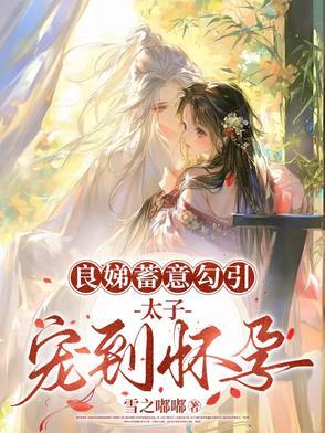 良娣是什么电视剧