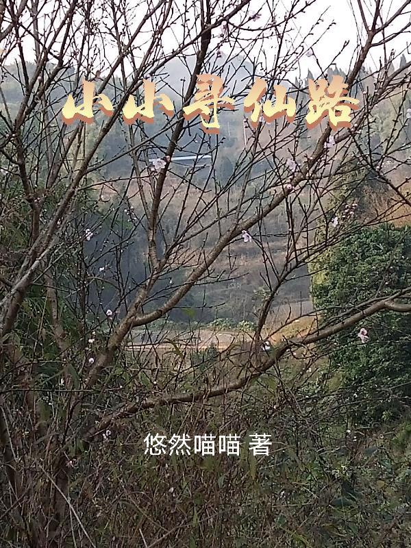 小小寻仙路2免费观看全集高清版
