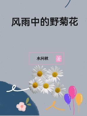 风雨中的菊花阅读短文