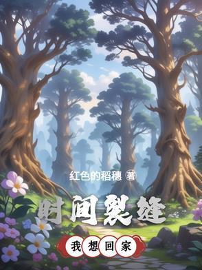 时间裂缝剧情详解