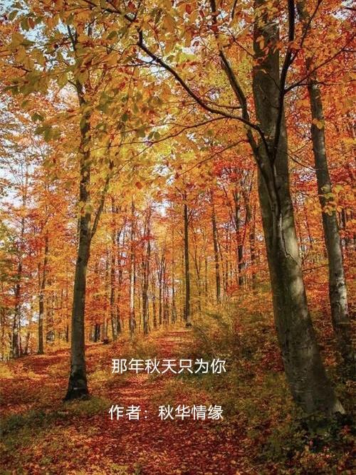 那年秋天舞蹈视频