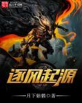 逐风者是物理还是魔法